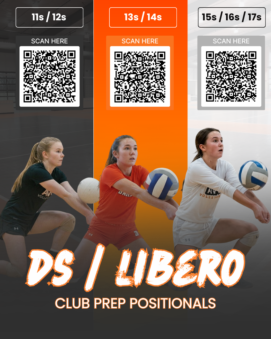 libero-correct.png